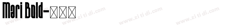 Mari Bold字体转换